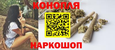 шишки Белореченск