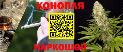 шишки Белореченск