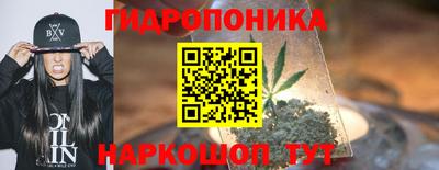 дурь Бердск