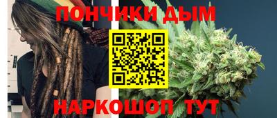 дурь Бердск