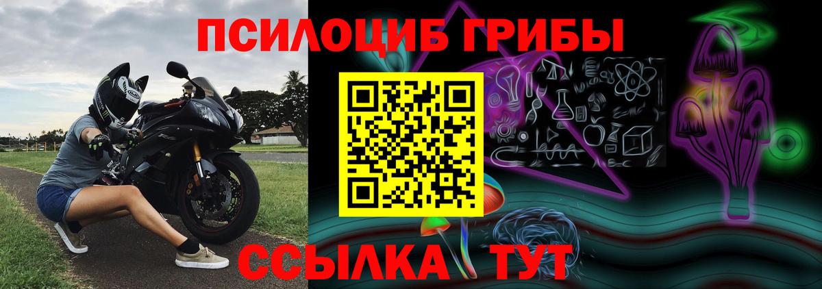 Псилоцибиновые грибы мухоморы  цены   Магадан  Вход с VPN 